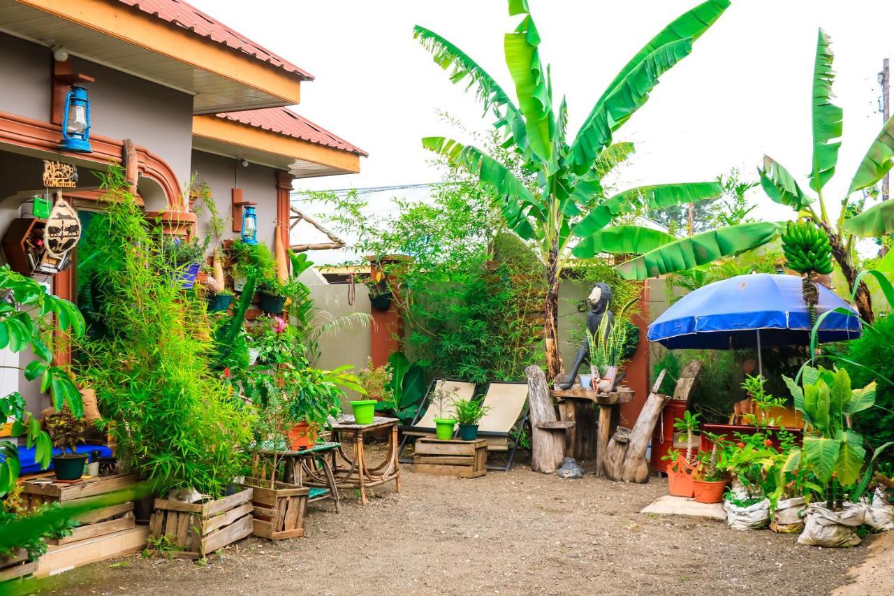 Savannah House Hostel *